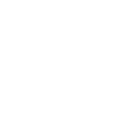 maharishi foundation